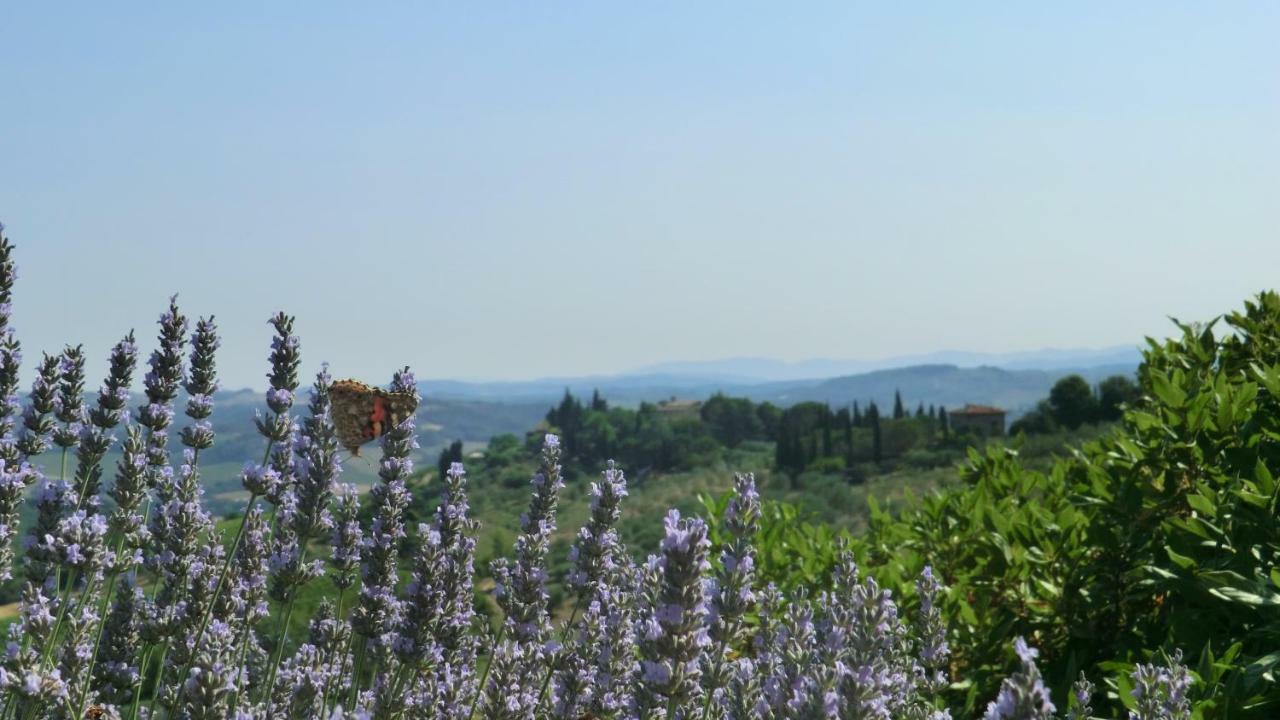 Appartamenti Ava E Tegrino Nell'Antica Dimora Di Fulignano San Gimignano Ngoại thất bức ảnh