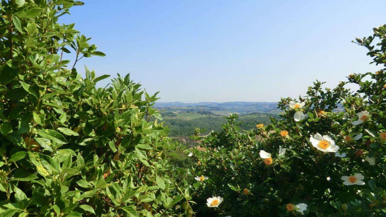 Appartamenti Ava E Tegrino Nell'Antica Dimora Di Fulignano San Gimignano Ngoại thất bức ảnh