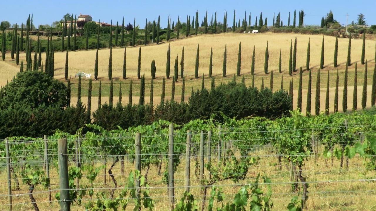 Appartamenti Ava E Tegrino Nell'Antica Dimora Di Fulignano San Gimignano Ngoại thất bức ảnh