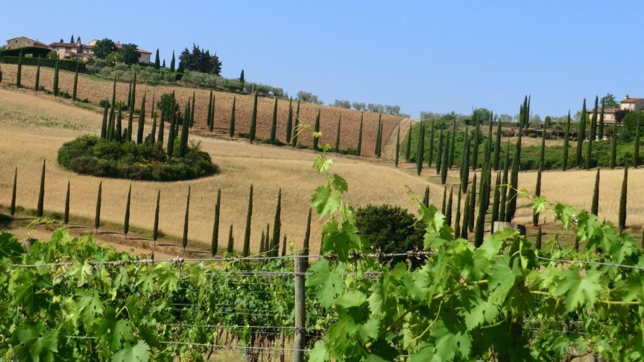 Appartamenti Ava E Tegrino Nell'Antica Dimora Di Fulignano San Gimignano Ngoại thất bức ảnh