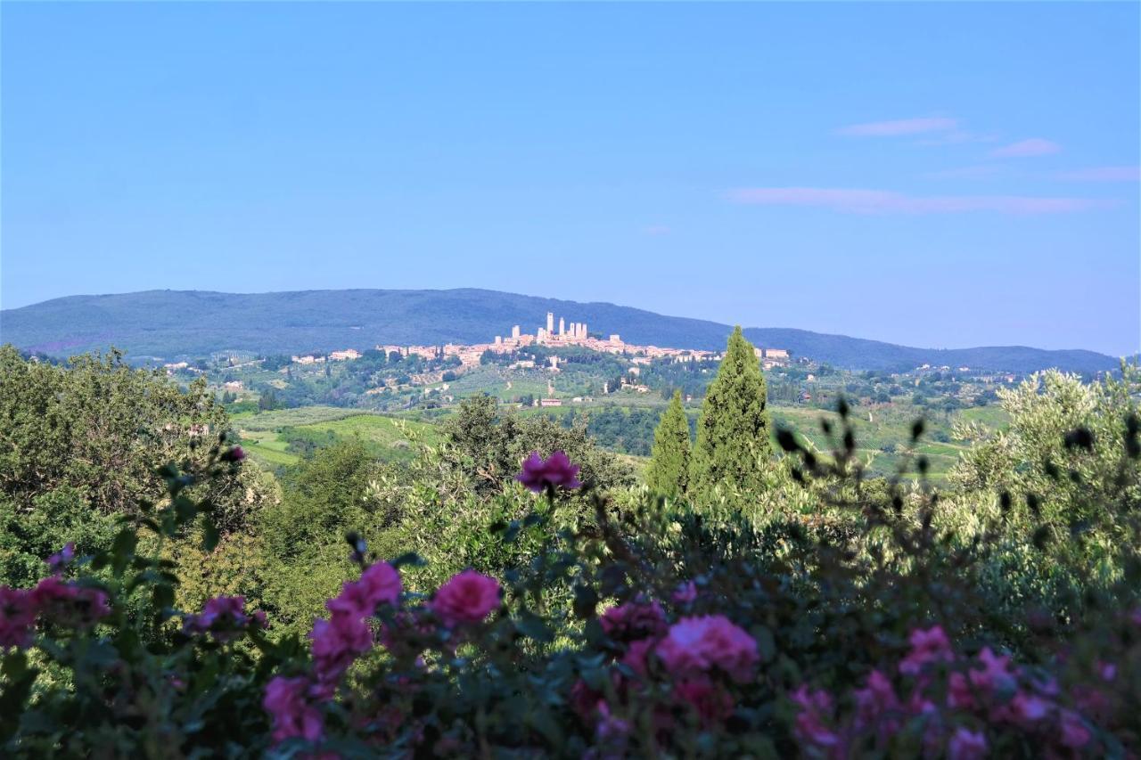 Appartamenti Ava E Tegrino Nell'Antica Dimora Di Fulignano San Gimignano Ngoại thất bức ảnh